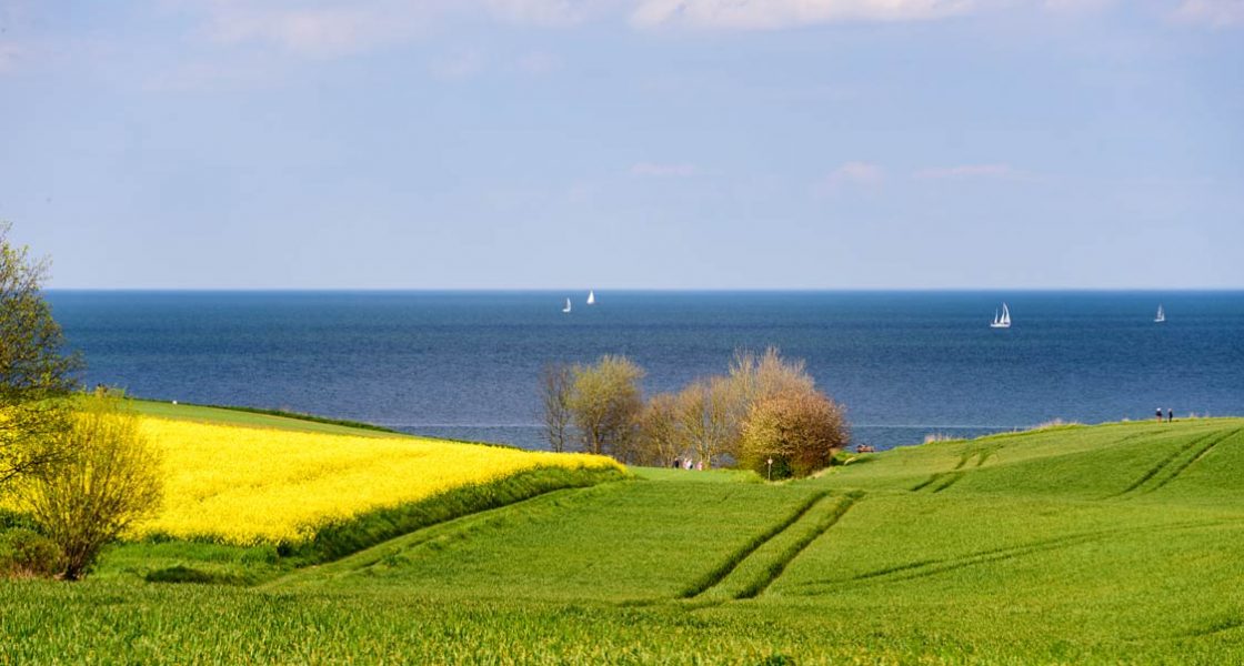 Blick über Felder auf die Schlei