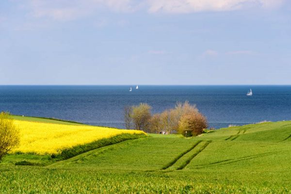 Blick über Felder auf die Schlei