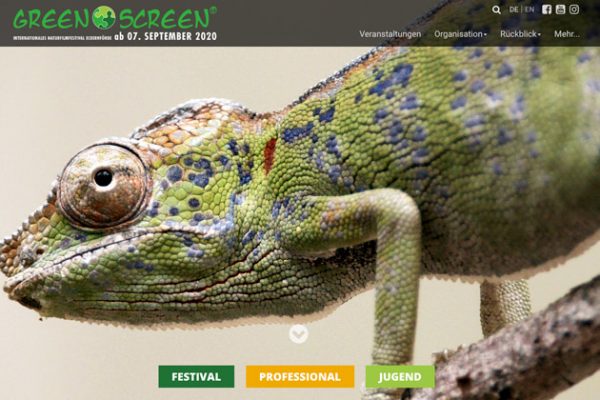 Ansicht der Webseite "Greenscreen"